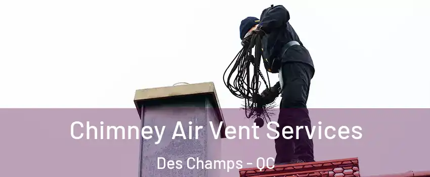  Chimney Air Vent Services Des Champs - QC