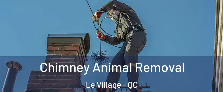  Chimney Animal Removal Le Village - QC
