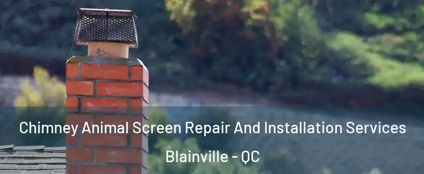  Chimney Animal Screen Repair And Installation Services Blainville - QC