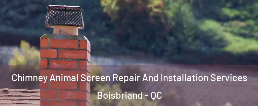 Chimney Animal Screen Repair And Installation Services Boisbriand - QC