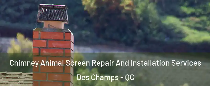  Chimney Animal Screen Repair And Installation Services Des Champs - QC