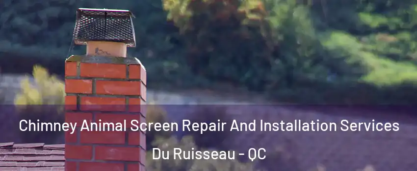  Chimney Animal Screen Repair And Installation Services Du Ruisseau - QC
