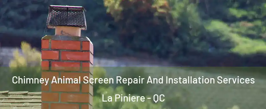  Chimney Animal Screen Repair And Installation Services La Piniere - QC