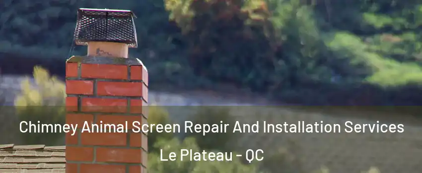  Chimney Animal Screen Repair And Installation Services Le Plateau - QC