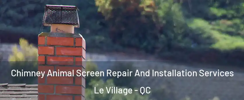  Chimney Animal Screen Repair And Installation Services Le Village - QC