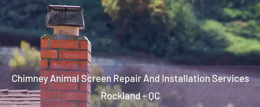  Chimney Animal Screen Repair And Installation Services Rockland - QC