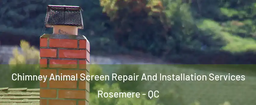  Chimney Animal Screen Repair And Installation Services Rosemere - QC