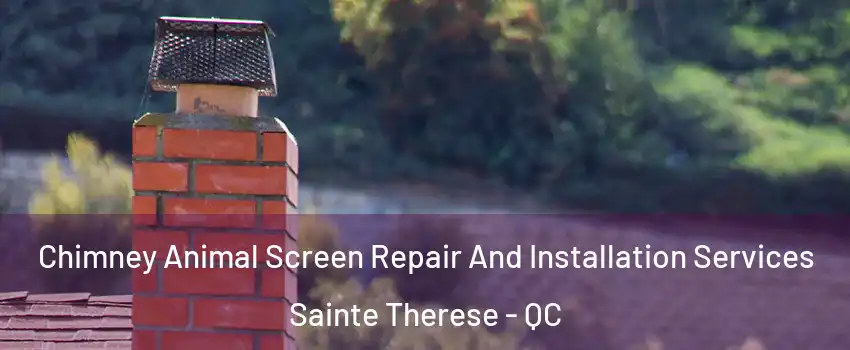 Chimney Animal Screen Repair And Installation Services Sainte Therese - QC