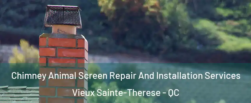  Chimney Animal Screen Repair And Installation Services Vieux Sainte-Therese - QC