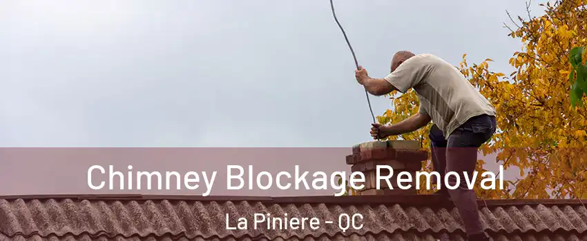 Chimney Blockage Removal La Piniere - QC