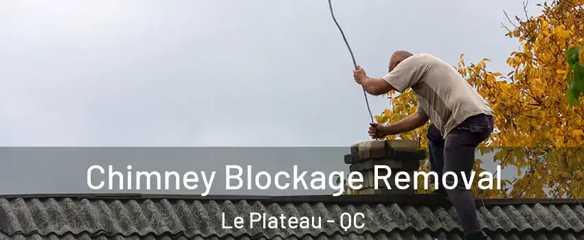  Chimney Blockage Removal Le Plateau - QC