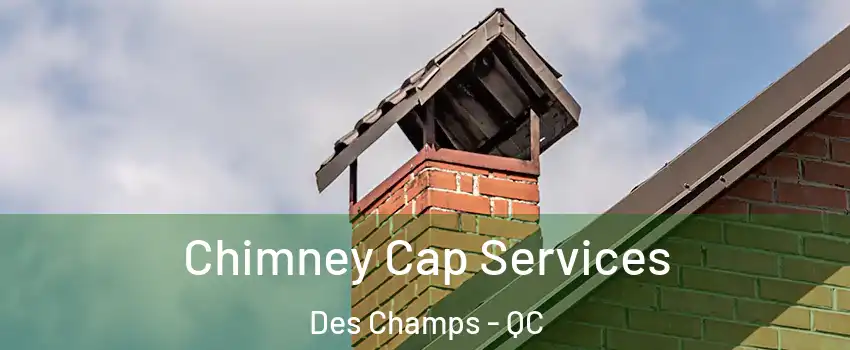 Chimney Cap Services Des Champs - QC