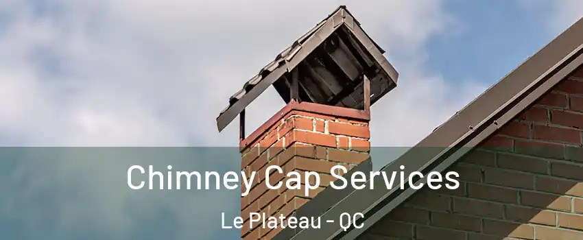  Chimney Cap Services Le Plateau - QC