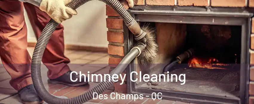  Chimney Cleaning Des Champs - QC