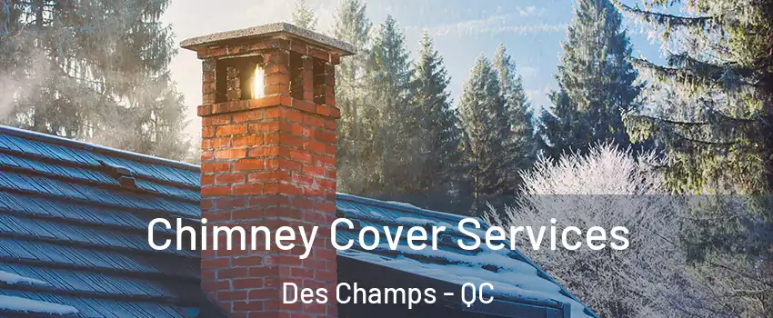  Chimney Cover Services Des Champs - QC