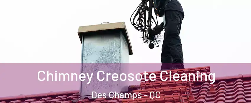 Chimney Creosote Cleaning Des Champs - QC