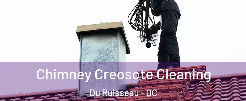 Chimney Creosote Cleaning Du Ruisseau - QC