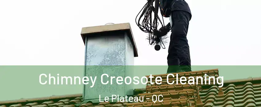 Chimney Creosote Cleaning Le Plateau - QC