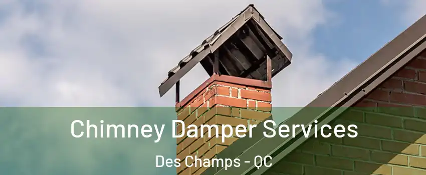  Chimney Damper Services Des Champs - QC