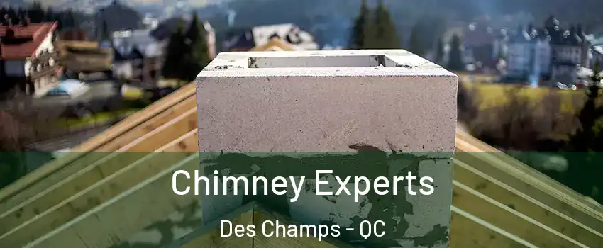  Chimney Experts Des Champs - QC