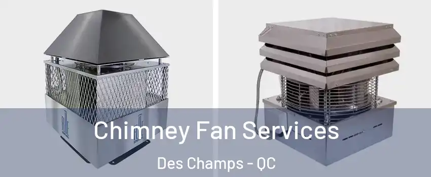  Chimney Fan Services Des Champs - QC