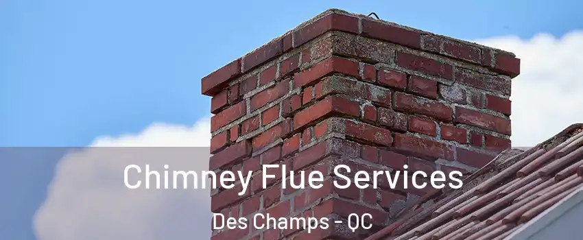 Chimney Flue Services Des Champs - QC