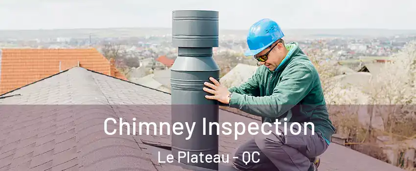 Chimney Inspection Le Plateau - QC