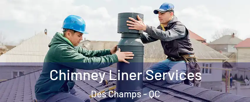  Chimney Liner Services Des Champs - QC