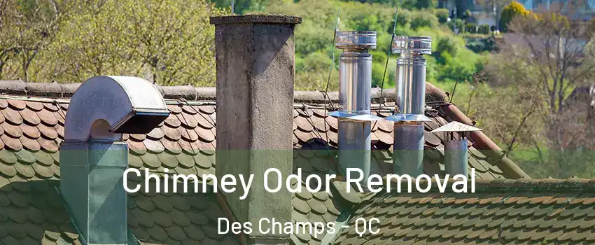 Chimney Odor Removal Des Champs - QC