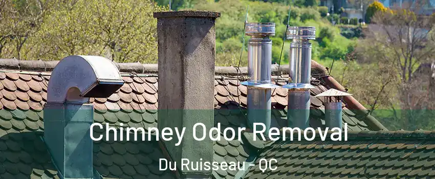 Chimney Odor Removal Du Ruisseau - QC