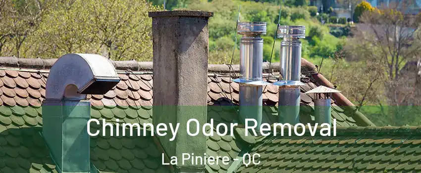  Chimney Odor Removal La Piniere - QC