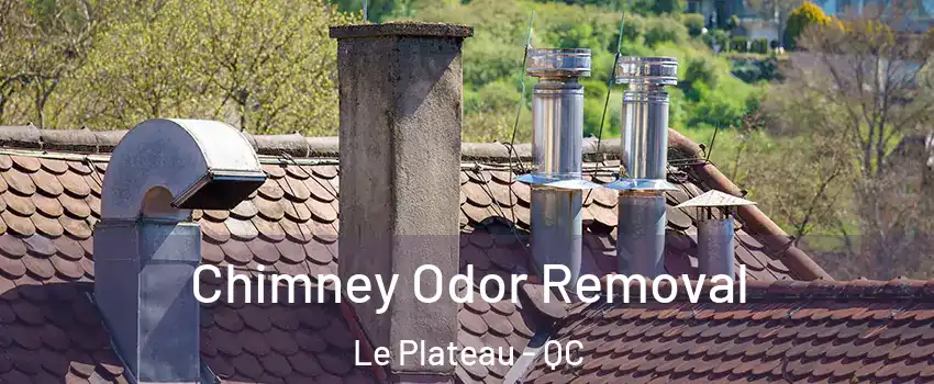  Chimney Odor Removal Le Plateau - QC