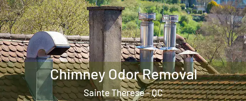  Chimney Odor Removal Sainte Therese - QC
