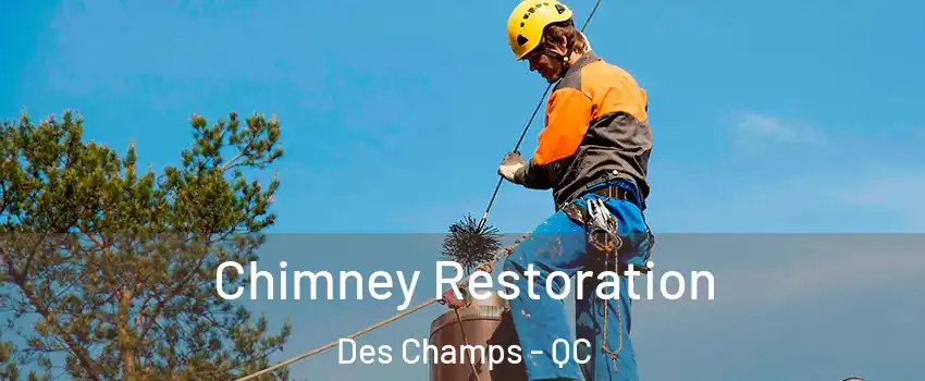 Chimney Restoration Des Champs - QC