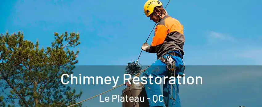  Chimney Restoration Le Plateau - QC