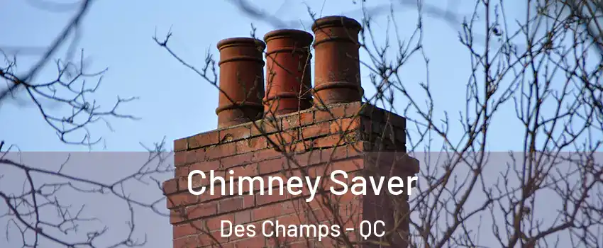  Chimney Saver Des Champs - QC
