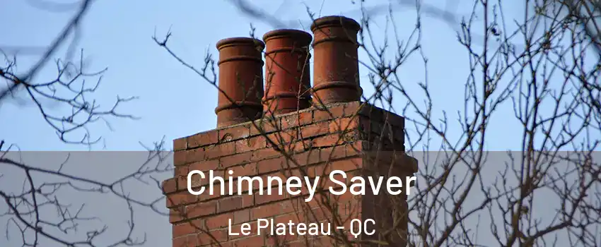 Chimney Saver Le Plateau - QC
