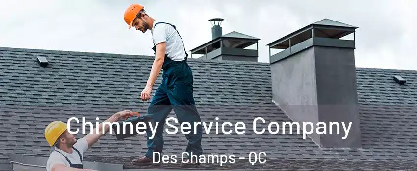  Chimney Service Company Des Champs - QC