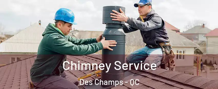 Chimney Service Des Champs - QC