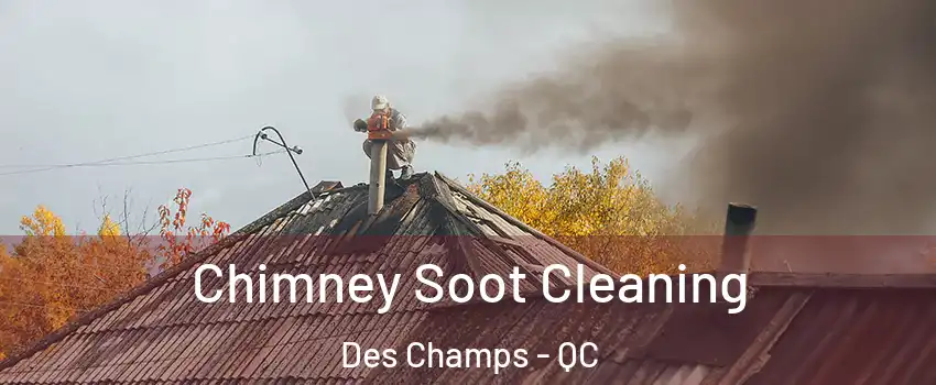 Chimney Soot Cleaning Des Champs - QC
