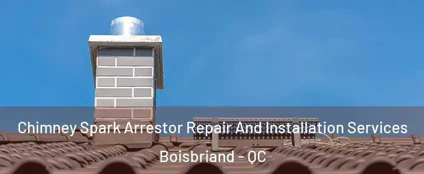  Chimney Spark Arrestor Repair And Installation Services Boisbriand - QC