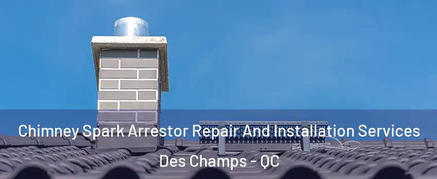 Chimney Spark Arrestor Repair And Installation Services Des Champs - QC