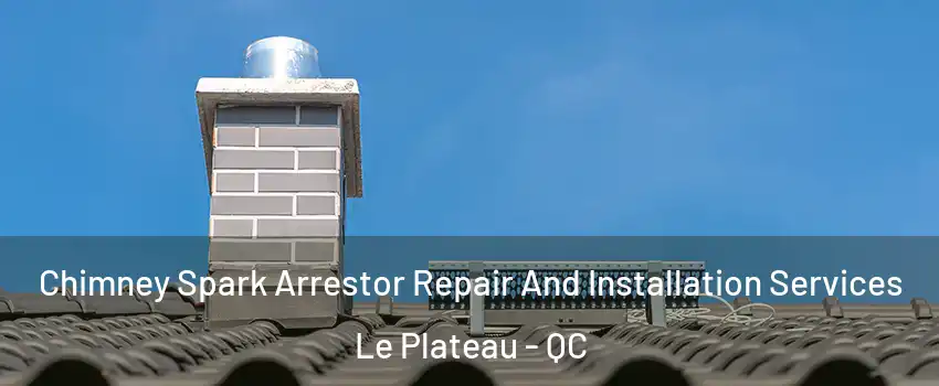  Chimney Spark Arrestor Repair And Installation Services Le Plateau - QC