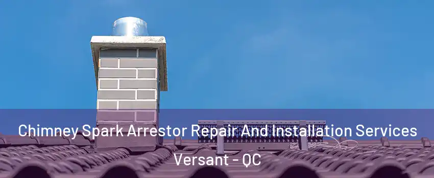  Chimney Spark Arrestor Repair And Installation Services Versant - QC