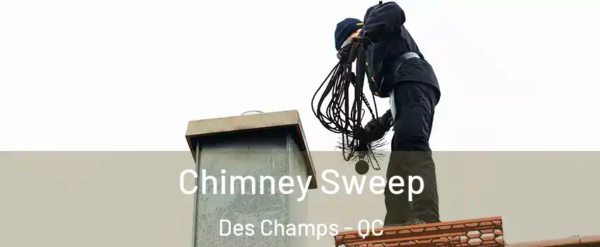 Chimney Sweep Des Champs - QC