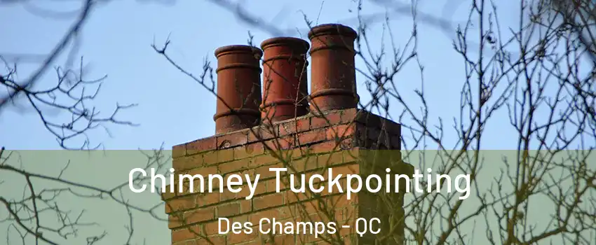 Chimney Tuckpointing Des Champs - QC