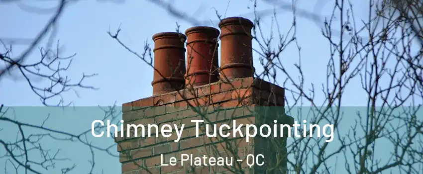  Chimney Tuckpointing Le Plateau - QC