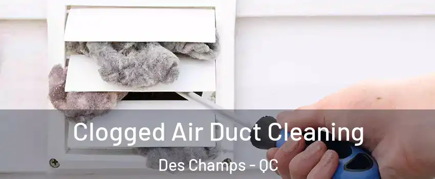  Clogged Air Duct Cleaning Des Champs - QC