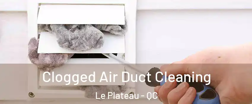  Clogged Air Duct Cleaning Le Plateau - QC