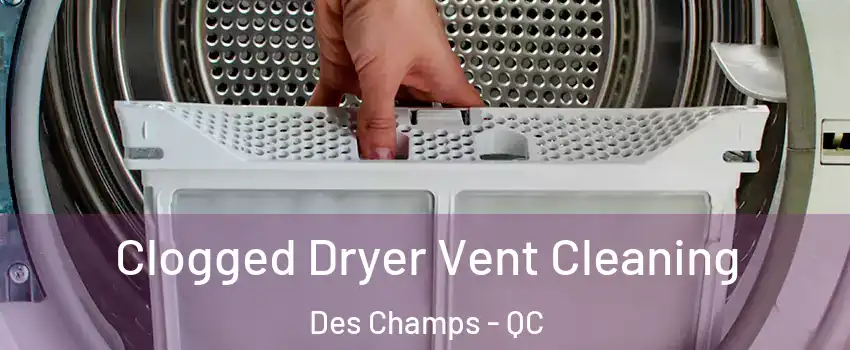  Clogged Dryer Vent Cleaning Des Champs - QC
